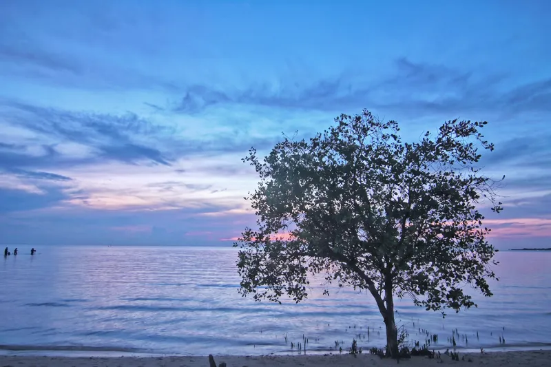 Tanjung Pendam Beach